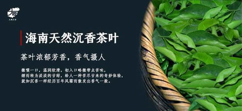 沉香叶的健康功效与作用