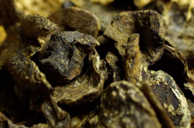 投资5亿元!柳州刘三姐沉香文化产业园破土动工