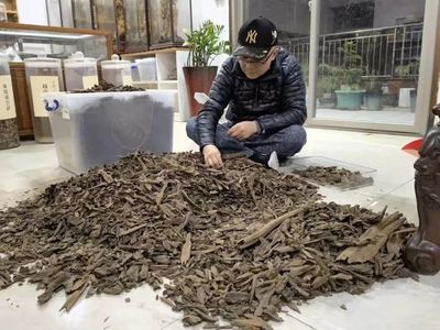 收藏一条极品沉香,是种怎样的体验?