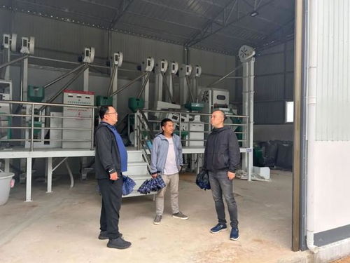 闵行援滇昌宁的项目建得如何 他一一走入