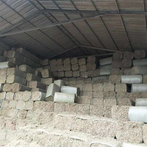 在农村办一个小型加工厂,加工什么好