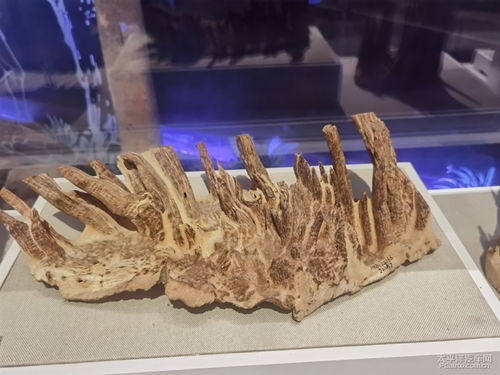 分明小像沉香缕,一片伤心欲画难