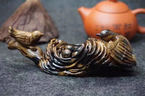 价格赛黄金,不腐不朽的 海底神木 究为何物