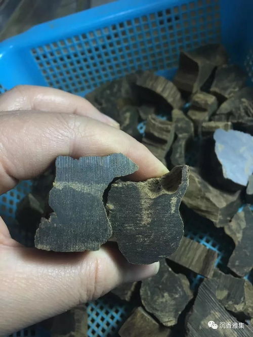 沉香的成本有哪些