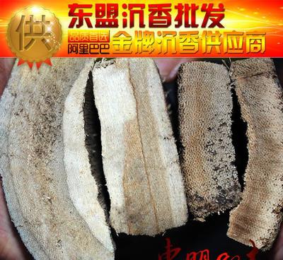 CX319 沉香原木车珠料 天然沉香佛珠加工料 沉香料大量批