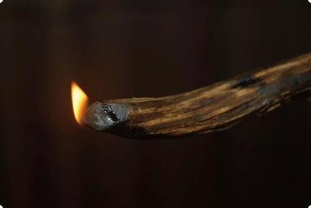 巧谈沉香投资特点