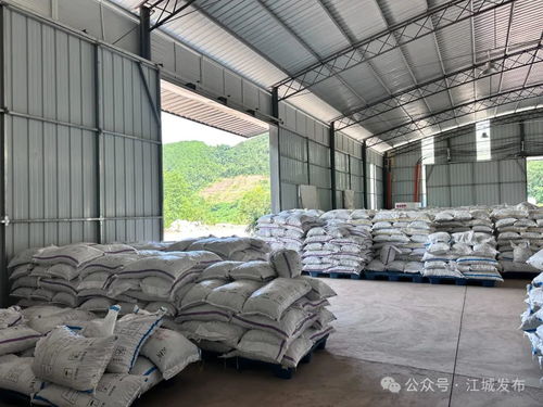 普洱江城又一坚果加工厂投入建成使用