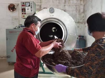 博罗东角村:打造沉香品牌,“一村一品”带领村民致富