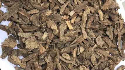 实用知识:一篇文章教你分清所有沉香的品种